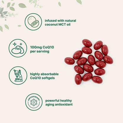 CoQ10 Energy Support — 240 Softgels